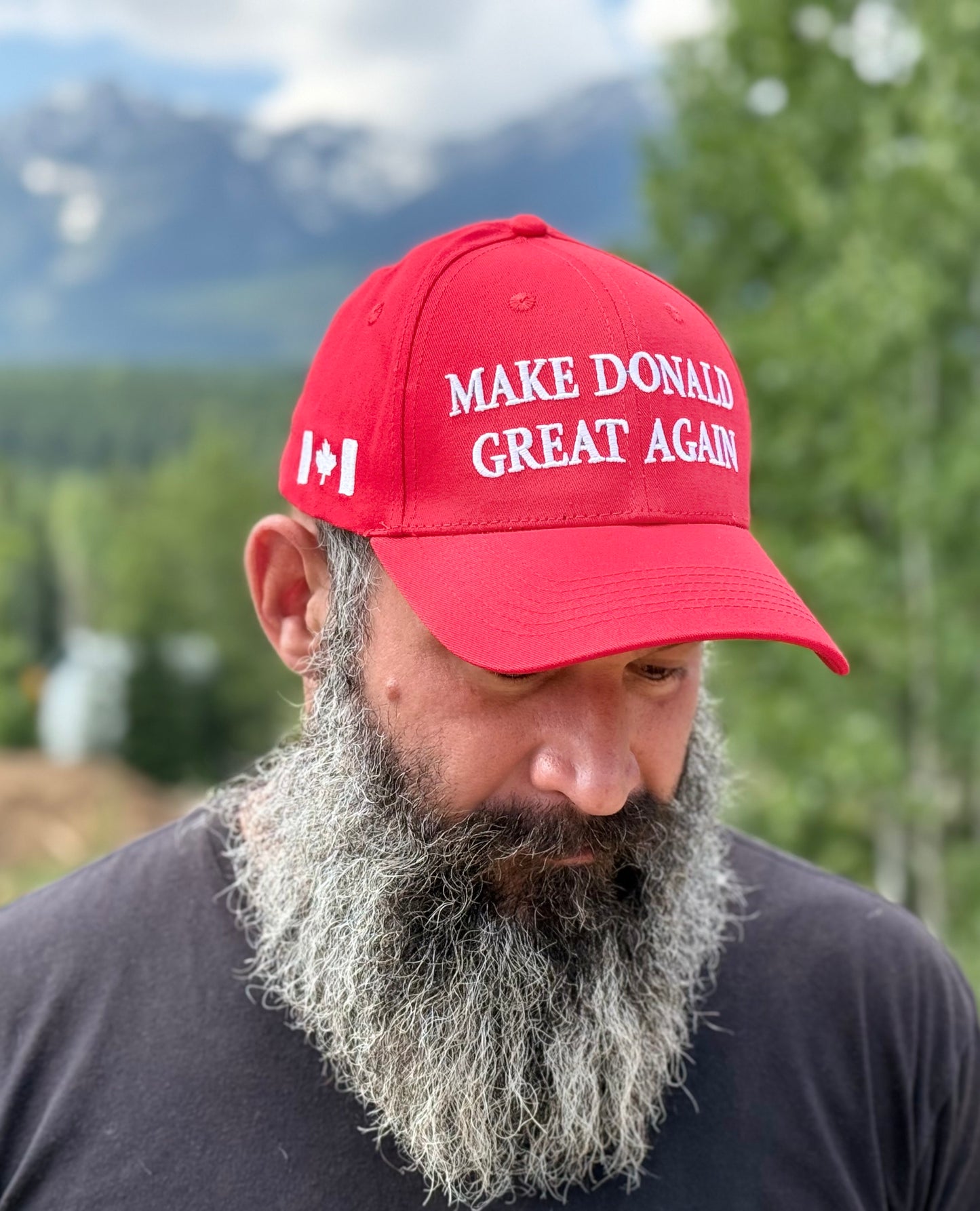 Make the Town of Donald Great Again - Hat
