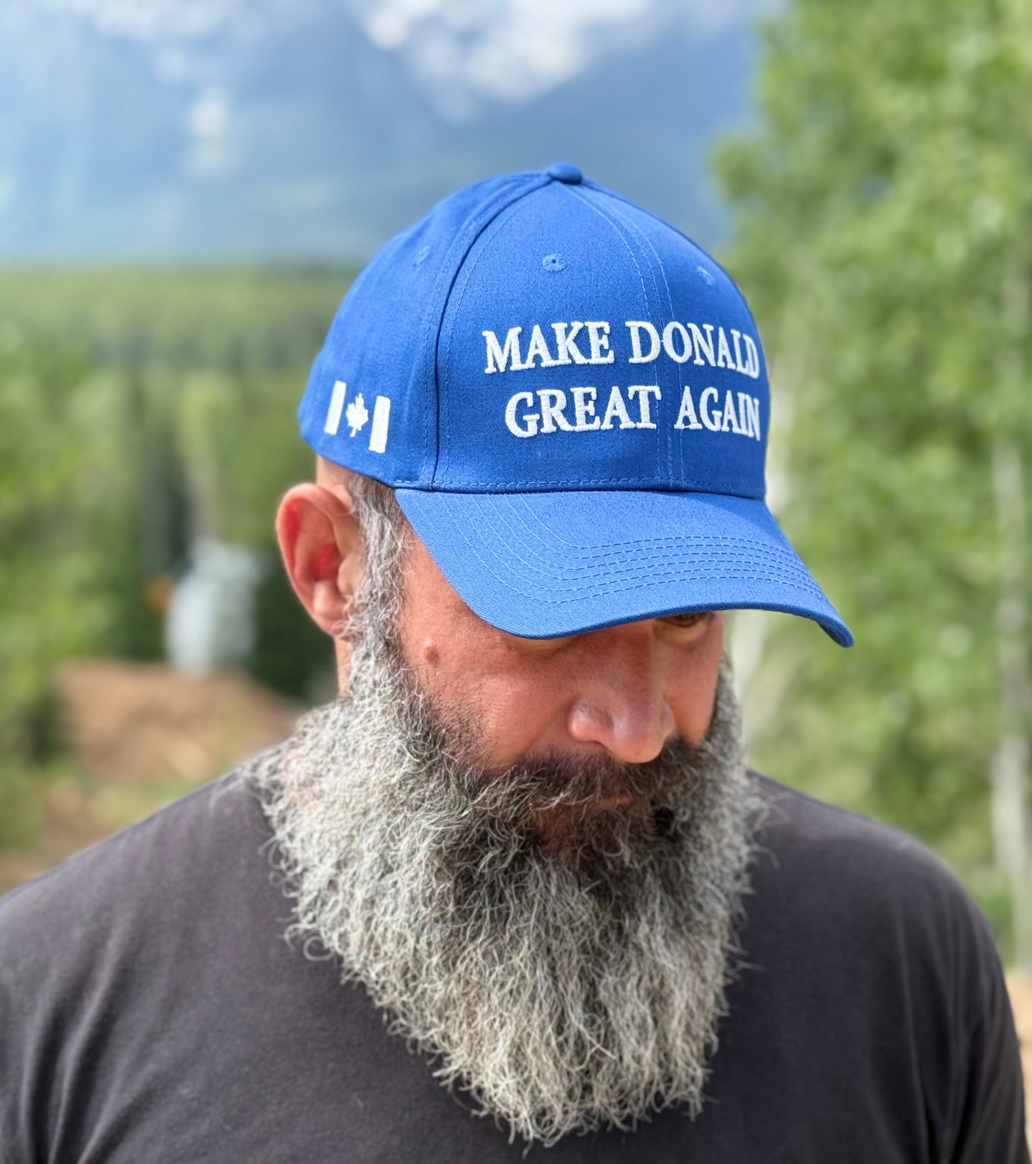 Make the Town of Donald Great Again - Hat
