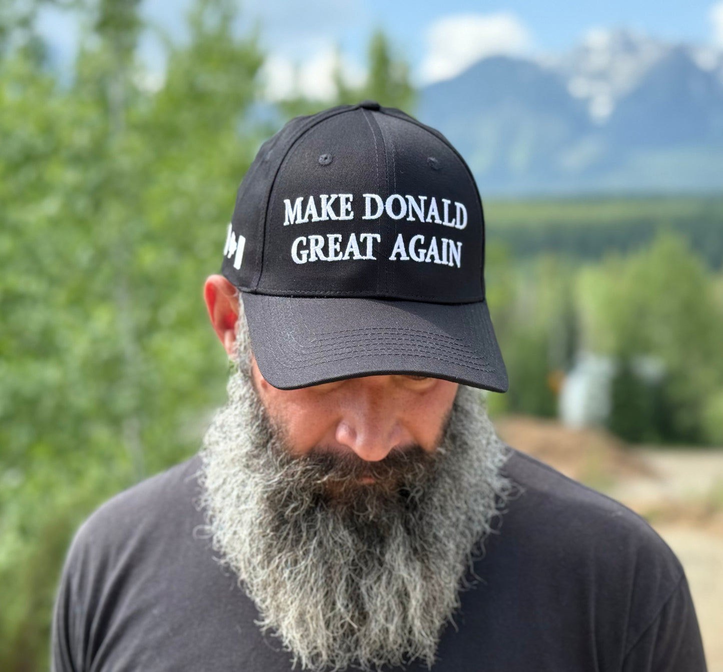 Make the Town of Donald Great Again - Hat